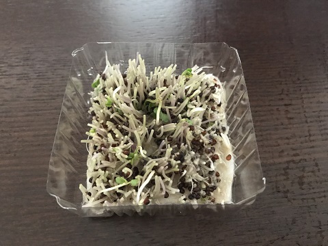 リボベジ③