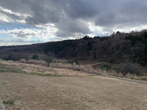 来年は・・・