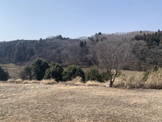 移住① 2022/03/05 14:28:36