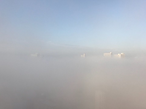 ここはどこ？