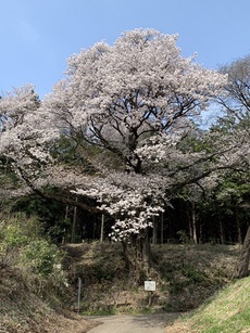 移住⑤ 2022/04/10 15:06:51