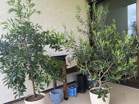 庭仕事