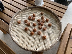関東干し 2022/07/07 19:58:09
