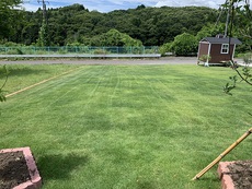 芝刈り 2022/07/09 20:13:39