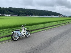 今年も美味しいお米が・・・ 2022/07/16 19:34:50