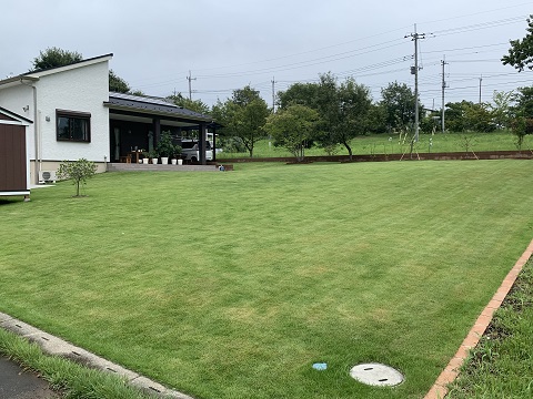 最盛期です