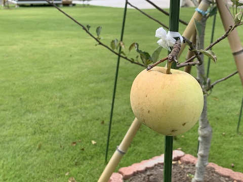 台風が来る前に・・・