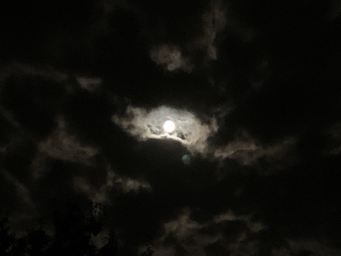 十三夜