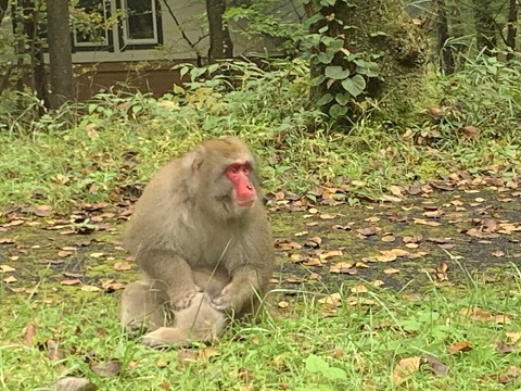 お山は終わり・・・