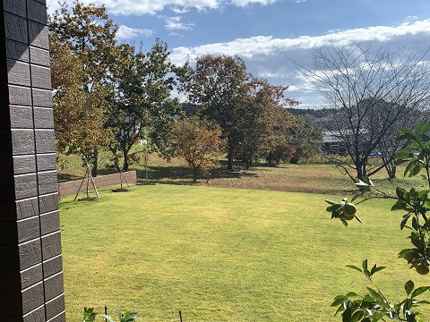 紅葉と落ち葉