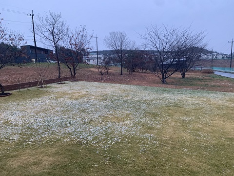 初氷・初雪・・・