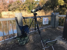 賑やかだったぁー！