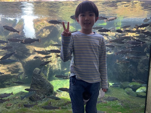 桜と水族館と釣り