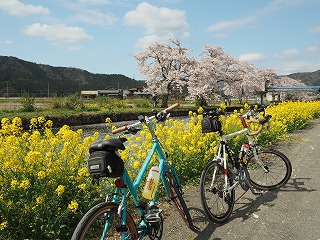 ウイッシュで車中泊 桜を追って 滋賀県へ その２ 余呉湖