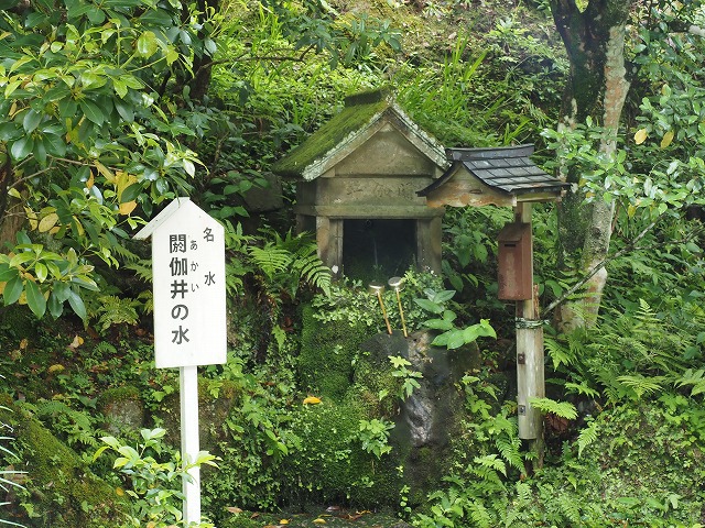 久美イチ（久美浜湾一周）のち、車中泊