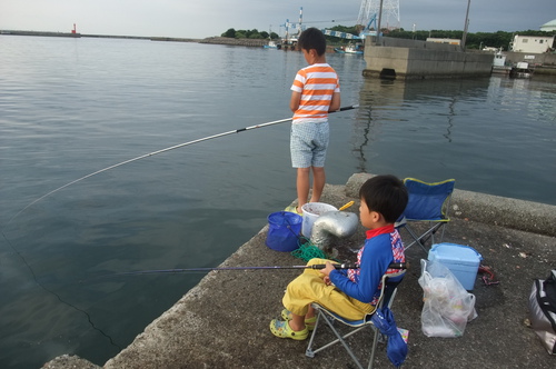 子供と3人でサビキ釣り In姫路 大漁 そうだ 子供と一緒に釣り行こう