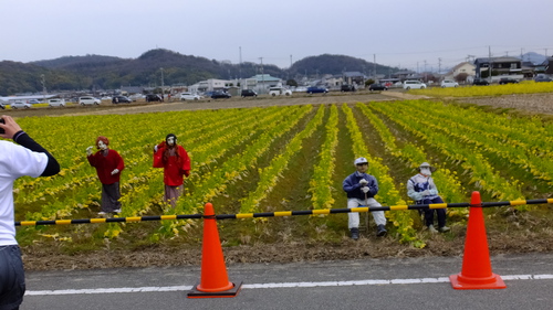 家族で　梅と潮の香マラソン　に　参加