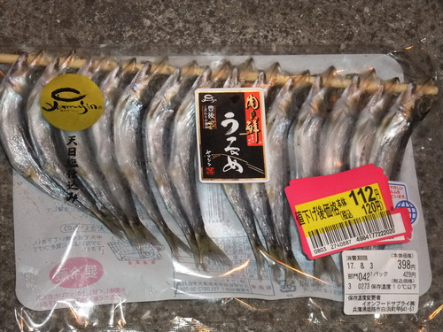 1人で夏タチ調査　ワインドでぇ～ｸﾞｯ!! (￣ε￣〃)ｂ