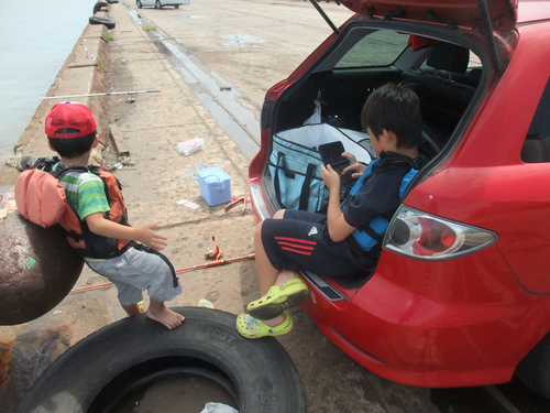 子供と3人でガシラ　台風後の姫路