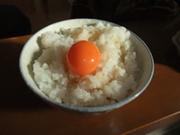 ２人で究極のたまごかけご飯　ライスクッカー