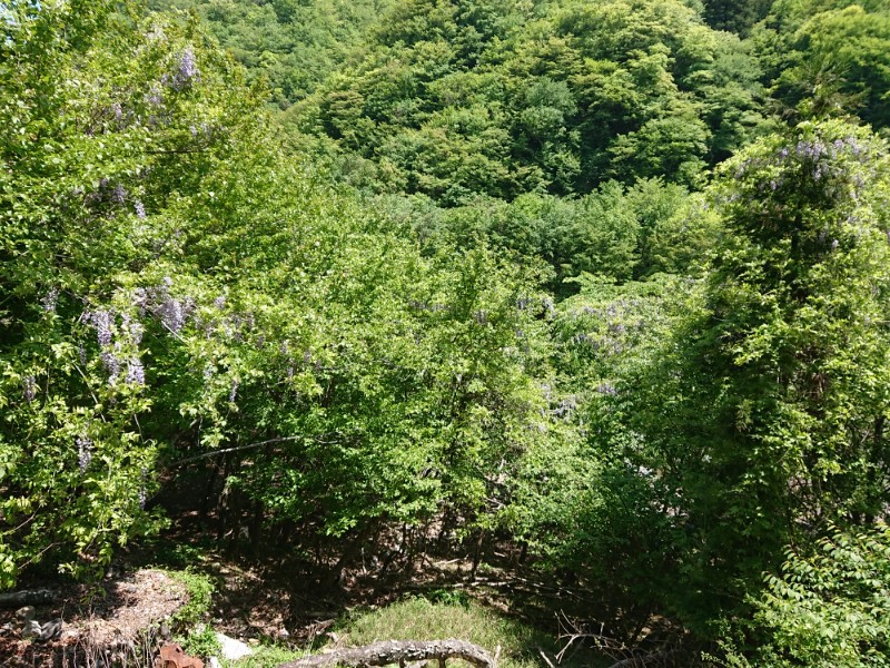 栃木鬼怒川系 5月25日[13/11]  ～明日に向かって打て!!～