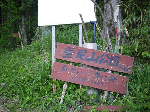 富士山眺めに