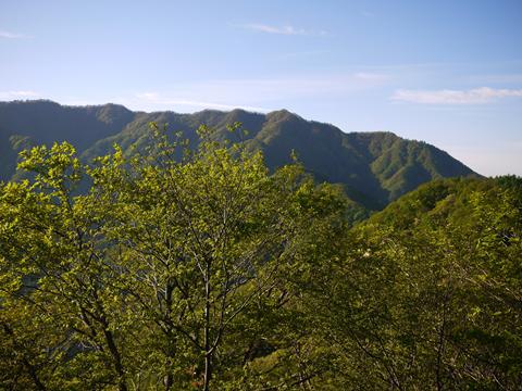 富士山眺めに
