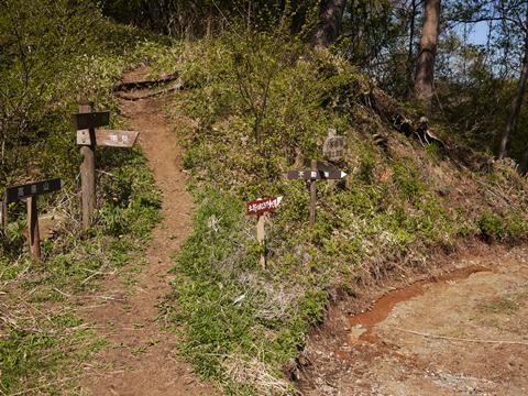 富士山眺めに
