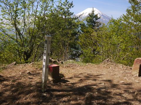 富士山眺めに