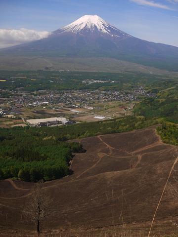 富士山眺めに