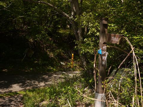 富士山眺めに