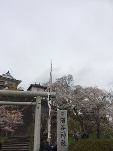 ４月まだまだ練習中！ご近所ライド