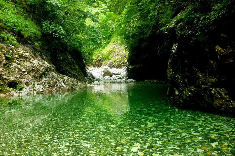 大峰・旭ノ川のゴルジュで流水スイミング