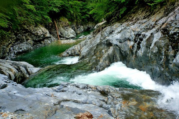 大峰・旭ノ川のゴルジュで流水スイミング