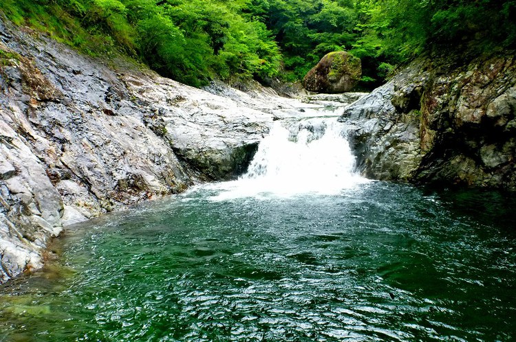 大峰・旭ノ川のゴルジュで流水スイミング