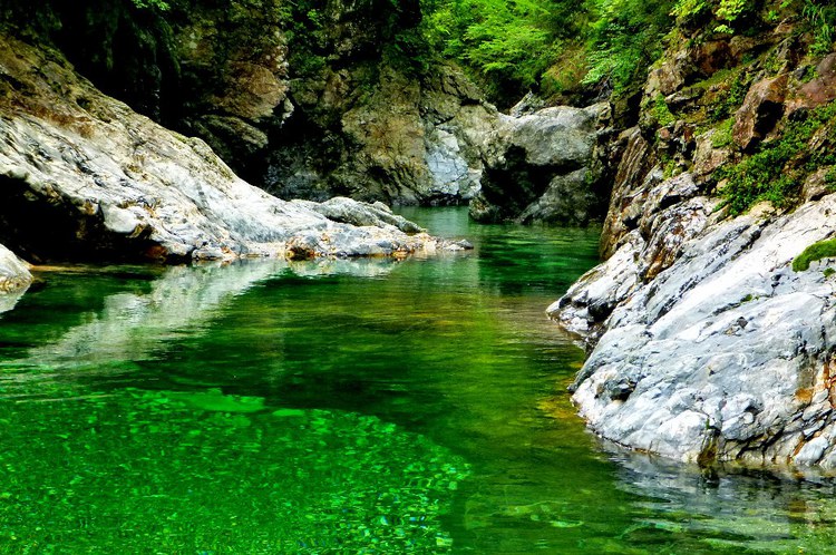 大峰・旭ノ川のゴルジュで流水スイミング
