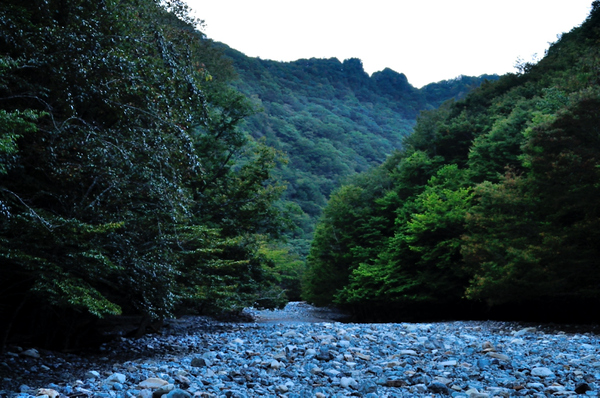 大峰双門コースから迷岳稜線を経て弥山へ　静かな山歩きでした
