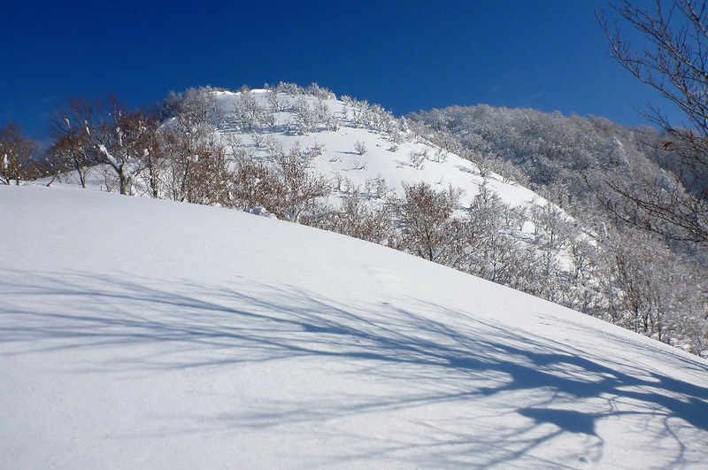 北陸・取立山より白山の絶景を楽しむ