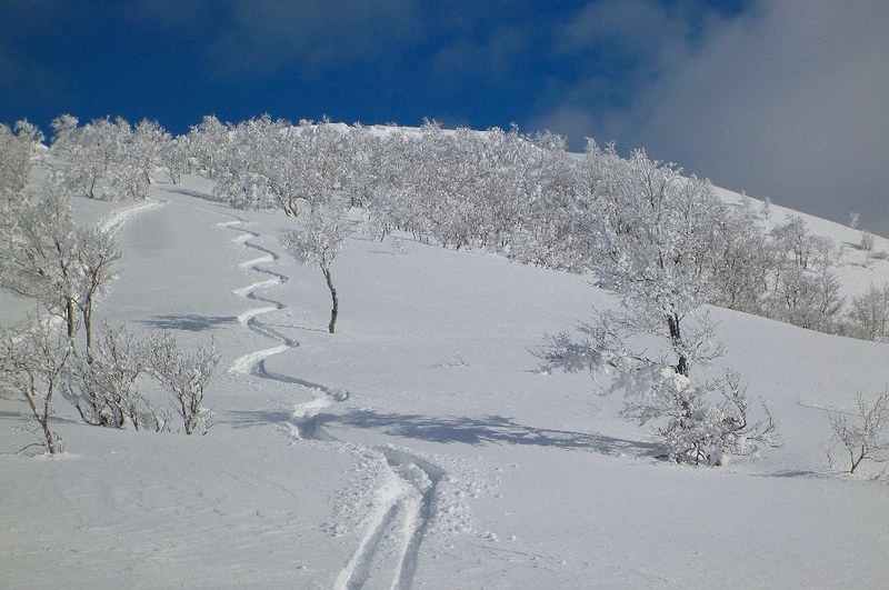 北陸・取立山より白山の絶景を楽しむ
