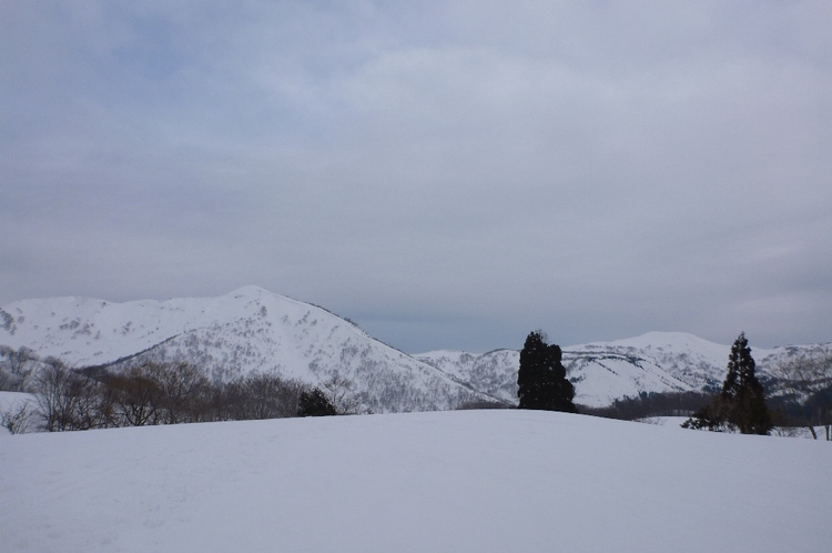 野伏ヶ岳から薙刀山へ周回山スキー　富山長期出張中～
