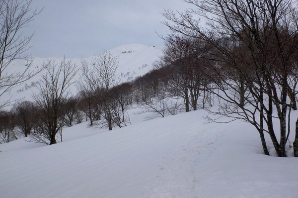 野伏ヶ岳から薙刀山へ周回山スキー　富山長期出張中～