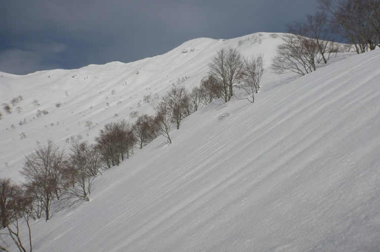 野伏ヶ岳から薙刀山へ周回山スキー　富山長期出張中～