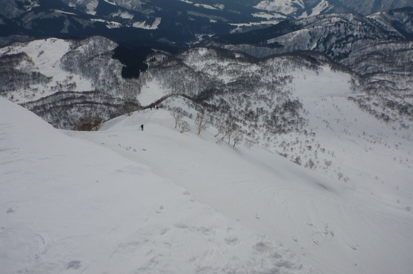 野伏ヶ岳から薙刀山へ周回山スキー　富山長期出張中～