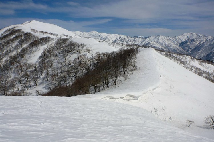 野伏ヶ岳から薙刀山へ周回山スキー　富山長期出張中～