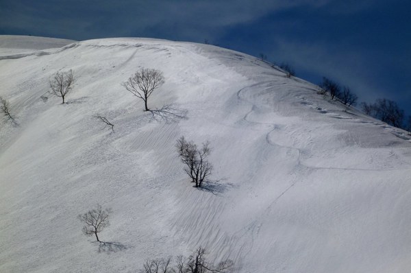 野伏ヶ岳から薙刀山へ周回山スキー　富山長期出張中～