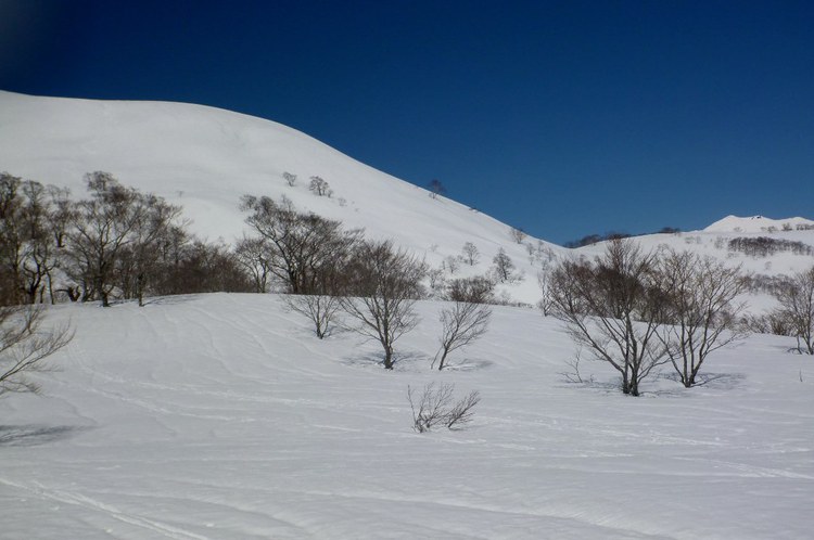 野伏ヶ岳から薙刀山へ周回山スキー　富山長期出張中～