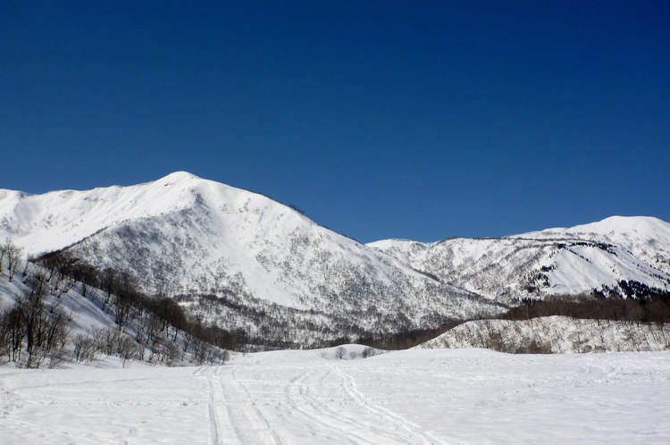 野伏ヶ岳から薙刀山へ周回山スキー　富山長期出張中～