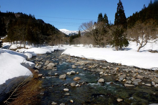野伏ヶ岳から薙刀山へ周回山スキー　富山長期出張中～