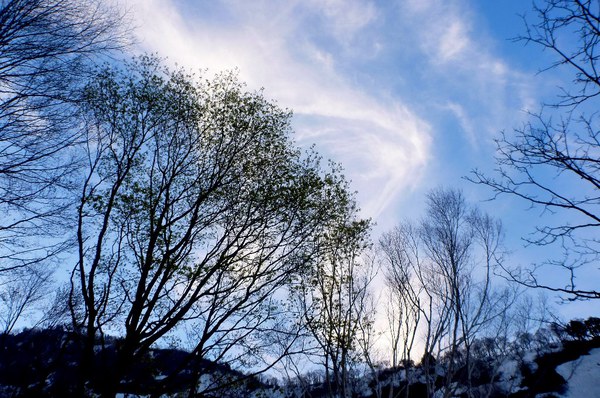 新緑と残雪　春の白山へ