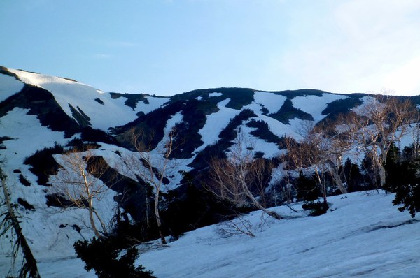 新緑と残雪　春の白山へ